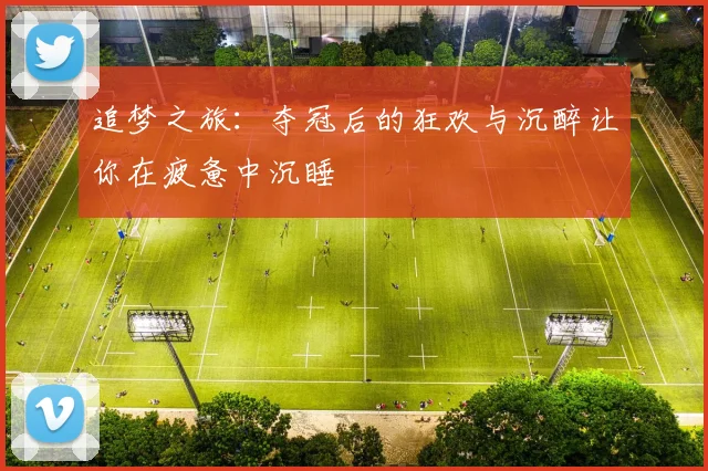 追梦之旅：夺冠后的狂欢与沉醉让你在疲惫中沉睡